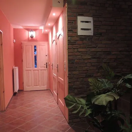 Boomeranghouse Wrocław